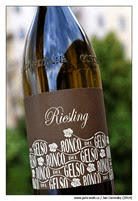 ronco-del-gelso-riesling