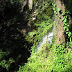 Rainbow Springs State Park-092207-15.JPG