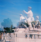 0026_diana_02_800_0013.jpg