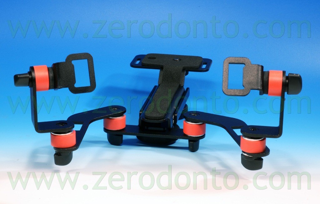[Fig.%2520133%2520staffa%2520skorpion%255B2%255D.jpg]