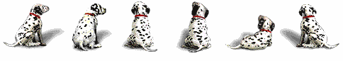 separatore_cani