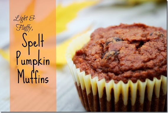 Light & Fluffy, Spelt Pumpkin Muffins 