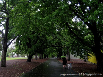 [IMG_0204%255B9%255D.jpg]