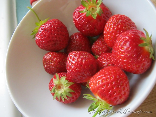[Picture0409.jpg]