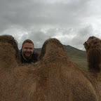 3 Höcker