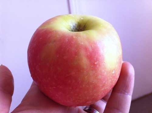 Photo 07-08-2012 10 04 31