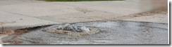 aviaryflood