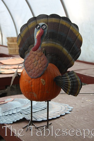 [Matthew%2527s%2520Eagle%2520Ct%2520of%2520Honor%2520136%255B3%255D.jpg]