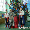 DSCN7929.JPG