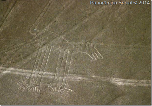 Cachorro de Nazca