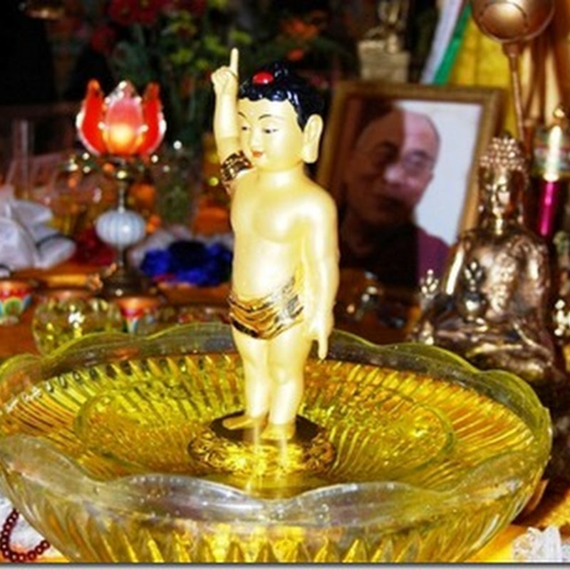 Ý nghĩa Phật Đản