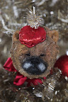 There's even a G.K. ornament for our champion!  Sharkey, doesn't he look dashing in red?