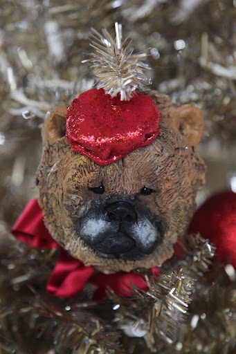 There's even a G.K. ornament for our champion!  Sharkey, doesn't he look dashing in red?