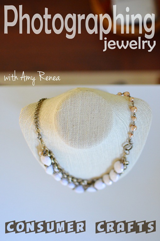 [copy%2520on%2520picture%2520%2520amy%2520renea%2520a%2520anestforallseasons.jpg]