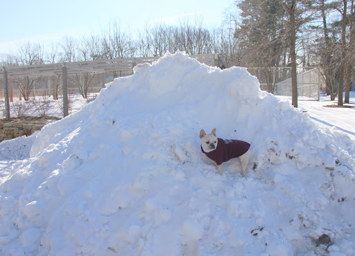 Hey Franny, do you want to come and climb this mountain with me?