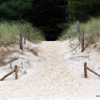 20100826_079_small.JPG