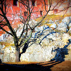 Kraków 07. 03. 2011 r - Wawel 116-2.jpg Kraków 07. 03. 2011 r - Wawel 116-2.jpg
