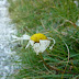 2011.08.18.-19. - Spodnje bohinjske gore