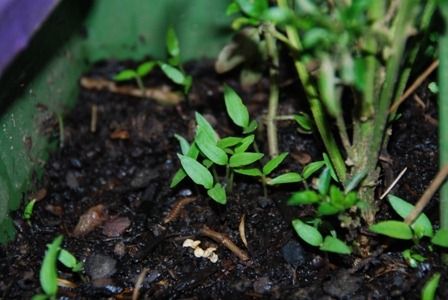 [DSC_0123%255B1%255D.jpg]