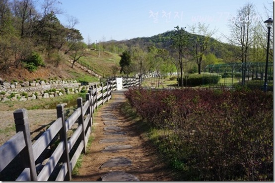 철천지DSC00009-20120426-082920 철천지DSC00009-20120426-082920