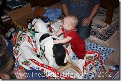 IMG_0638 IMG_0638