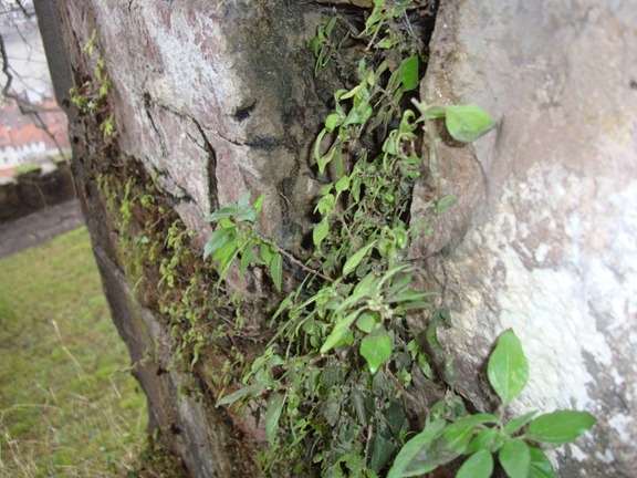 [DSC06417%255B3%255D.jpg]