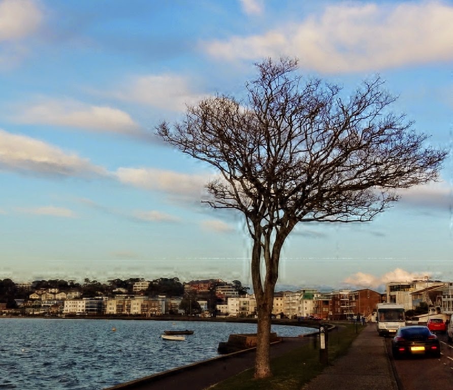 [DSC01049%2520%25281300x1119%2529%255B6%255D.jpg]