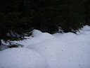 PA220062.JPG