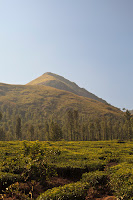 IMG_1233.jpg Photo