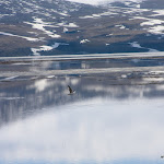 IMG_4422.jpg