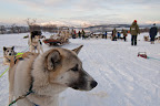 Tromsø Villmarkssenter auf Kvaløya