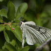 Grenaa_TAO7042.jpg