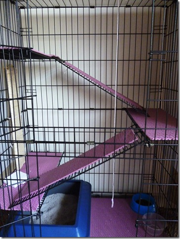 cat cage 3 tiers