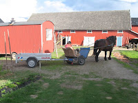 main28d4.jpg