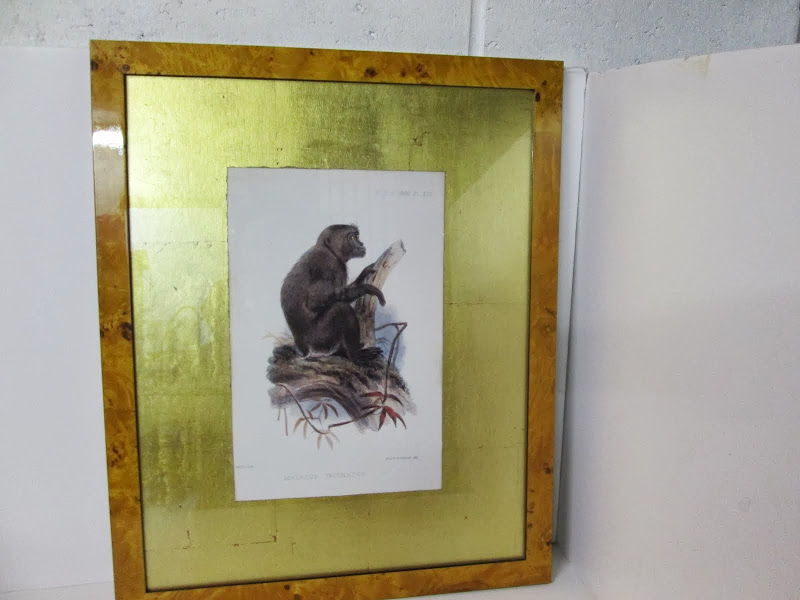 Wolf Monkey Lithograph