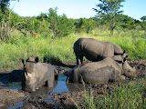 South Africa - 323.JPG
