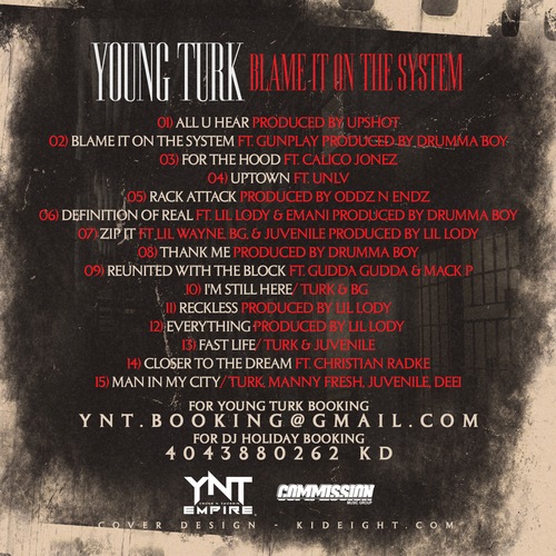 Turk_Blame_It_On_The_System-back-large