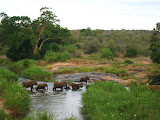 South Africa - 157.JPG