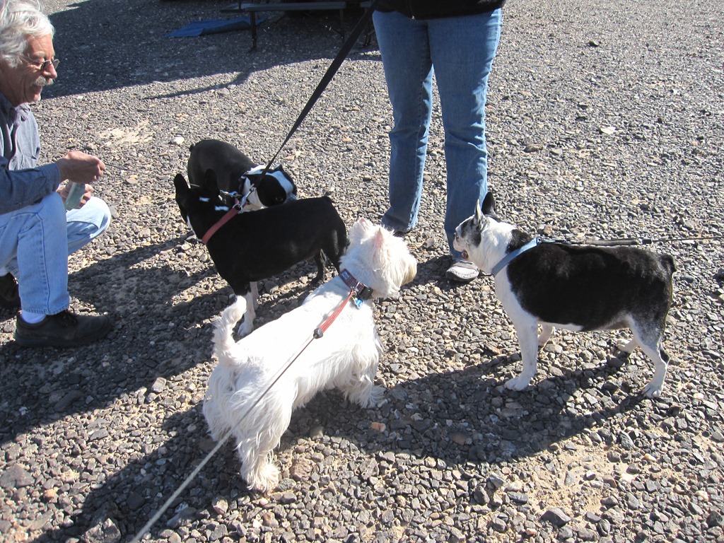 [IMG_7549%255B3%255D.jpg]