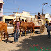 DesfiledeCarrosdeBois2011-027.jpg