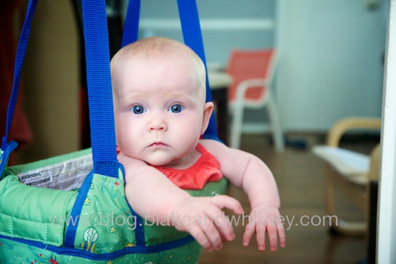 IMG_6091.jpg IMG 6091