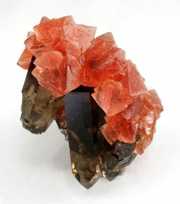 [Minerals-Tumblr---Fluorite-on-Smoky-%255B1%255D.jpg]