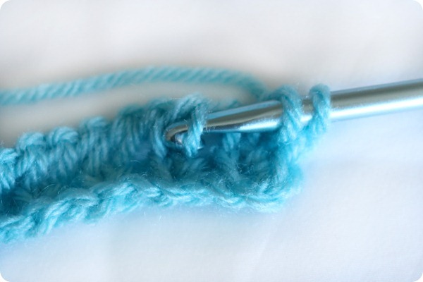 [IMG_1439-edit_thumb22.jpg]