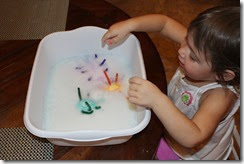 IMG_6103 IMG_6103