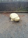 Stone Turtle 