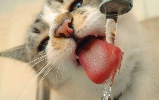 [viral-picdump-pics-64a01d%255B2%255D.jpg]