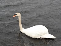 DSC03106.JPG