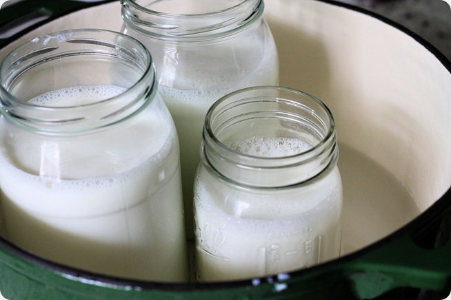 milk_homemade_yogurt_recipes