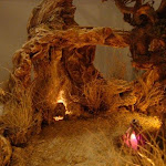 1611-12.jpg 1611-12.jpg