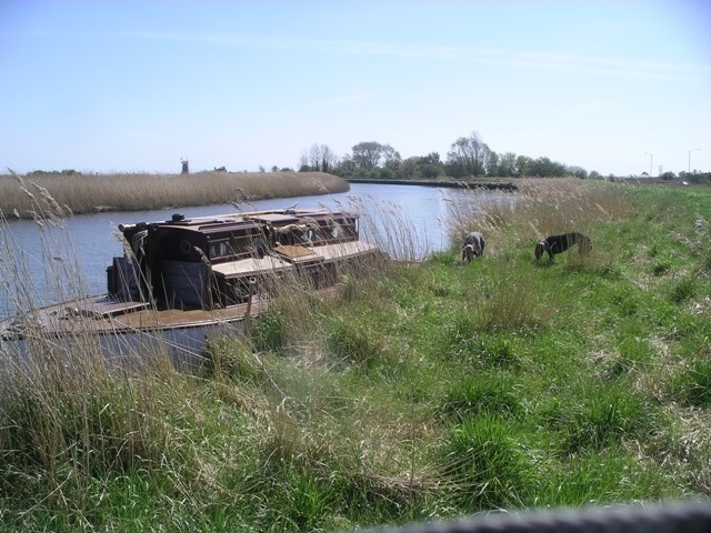 IMGP4444